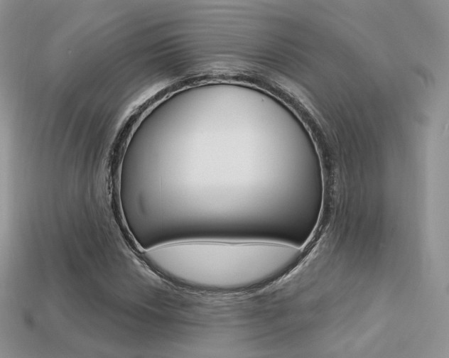 X0000113231018200909100939