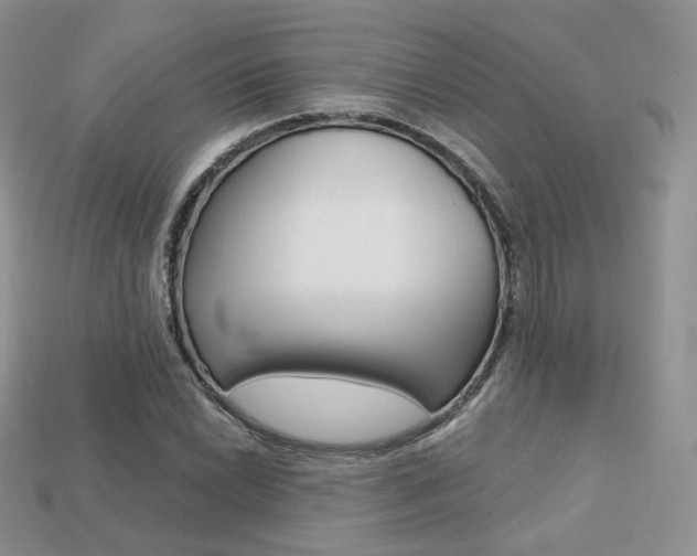 X0000113231022200909100939