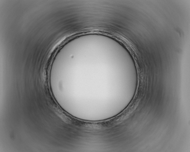 X0000113231023200909100939