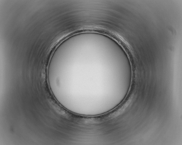 X0000113231025200909100939