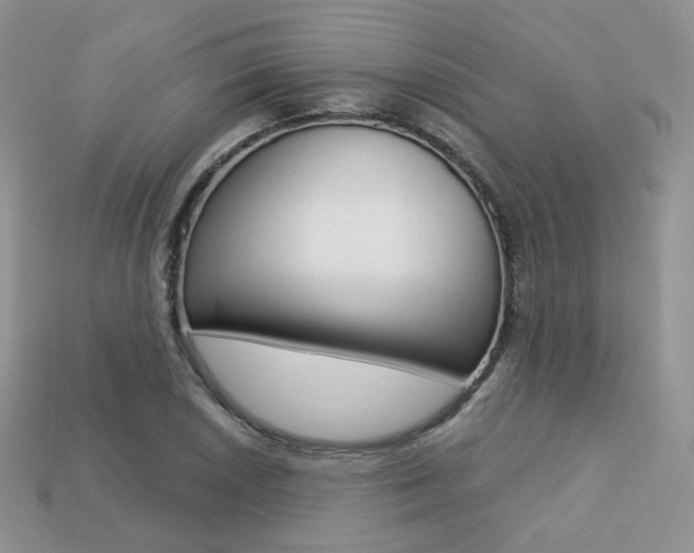 X0000113231026200909100939
