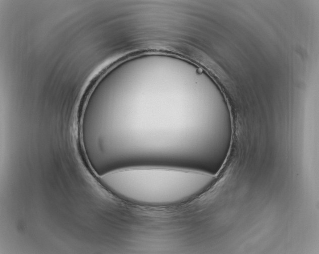 X0000113231028200909100939