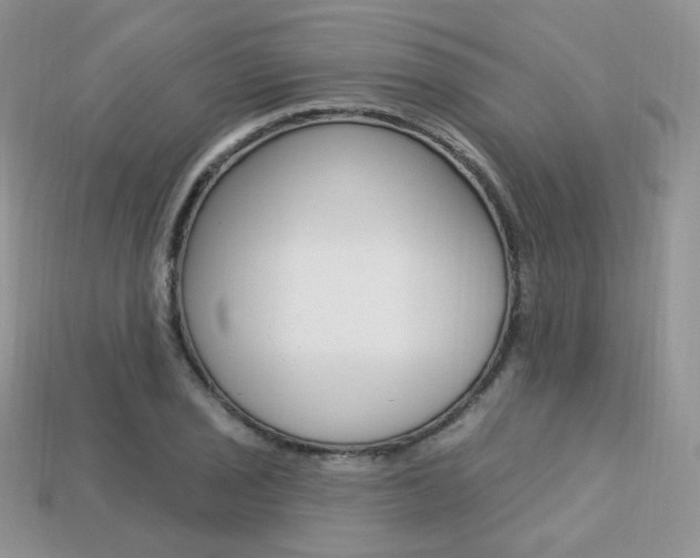 X0000113231029200909100939