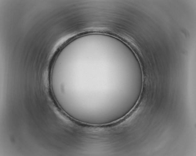 X0000113231030200909100939