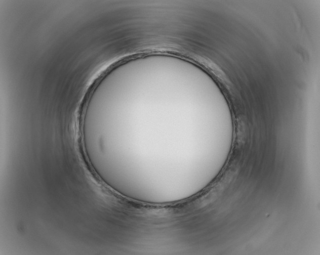 X0000113231031200909100939