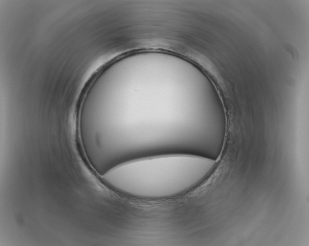 X0000113231032200909100939
