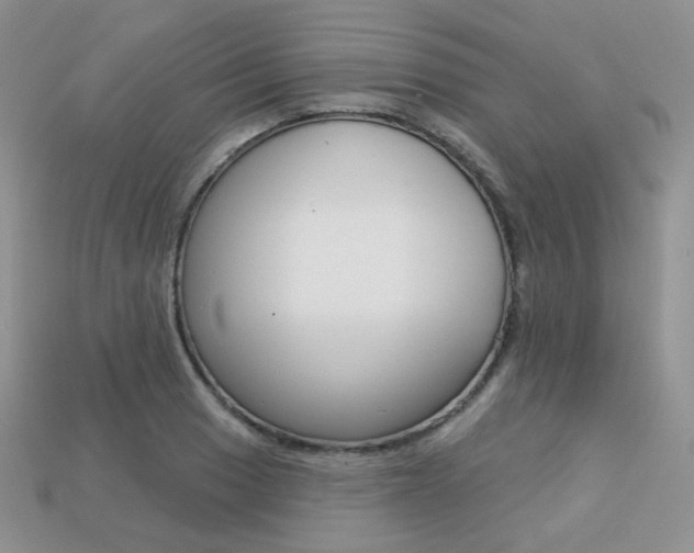 X0000113231033200909100939