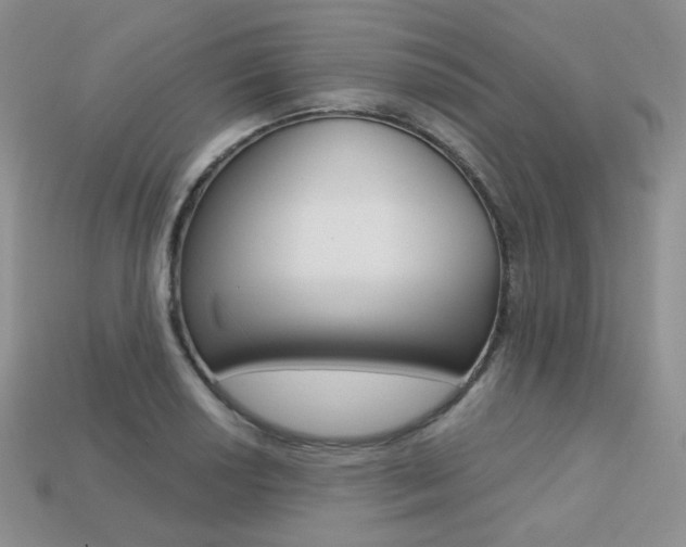 X0000113231034200909100939