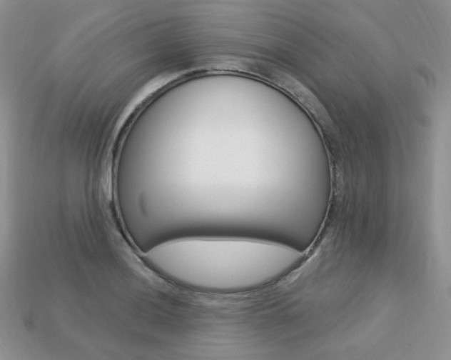 X0000113231036200909100939
