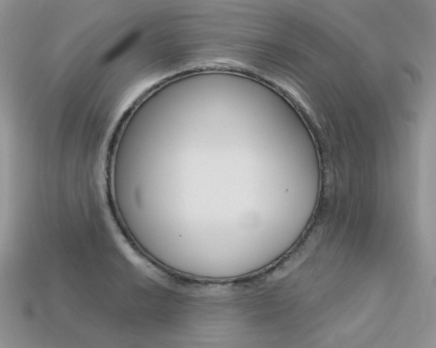 X0000113231038200909100939