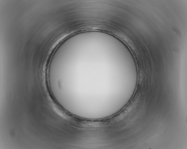 X0000113231039200909100939