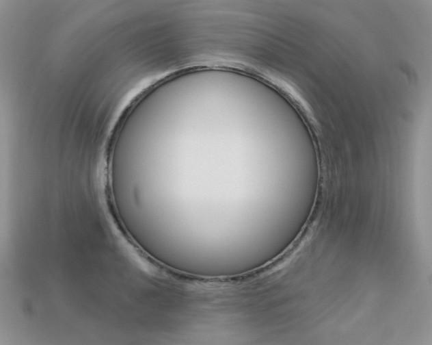 X0000113231040200909100939