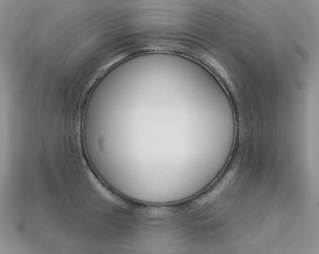 X0000113231041200909100939