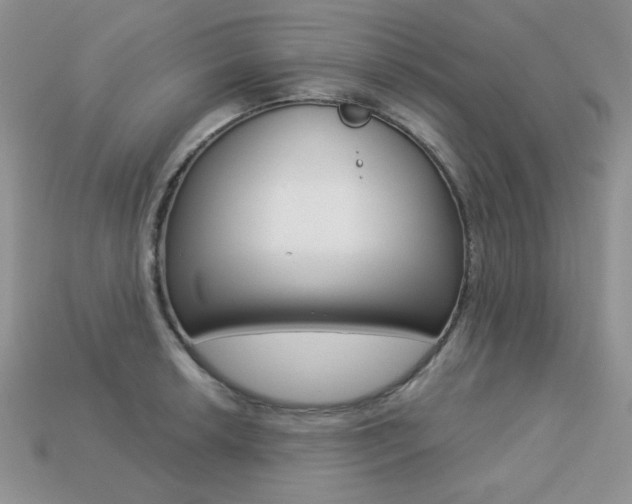 X0000113231042200909100939