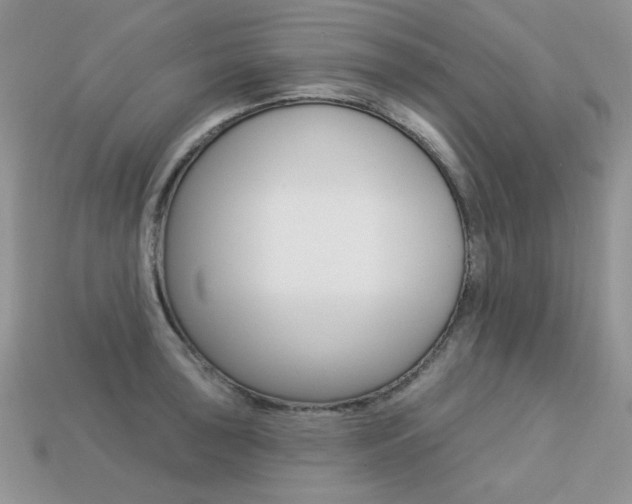 X0000113231043200909100939