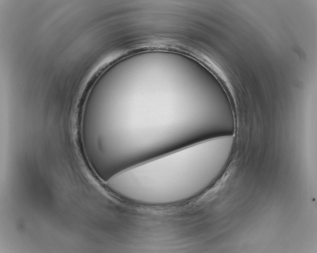 X0000113231045200909100939