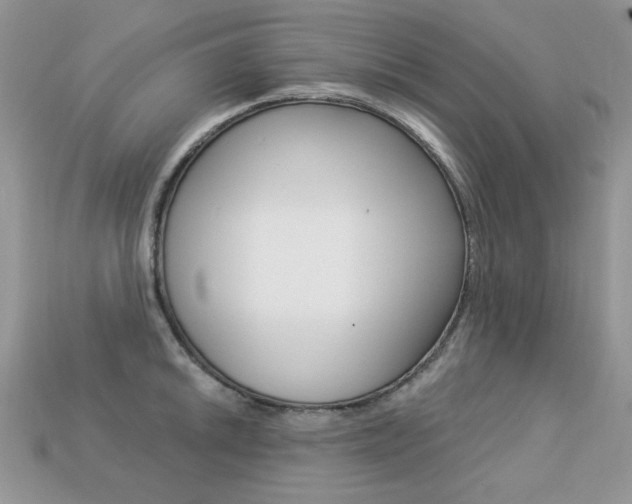 X0000113231046200909100939