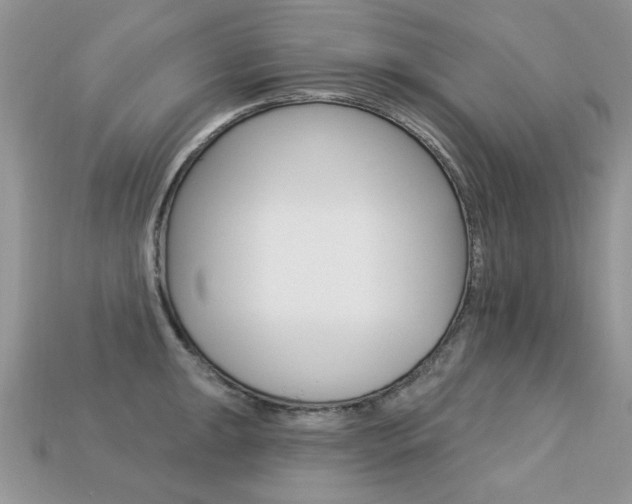 X0000113231047200909100939