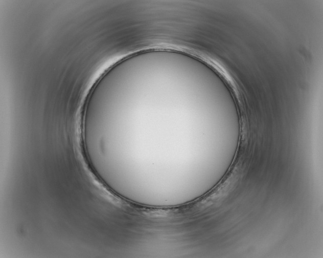 X0000113231048200909100939