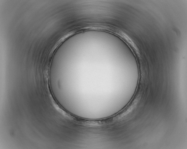 X0000113231049200909100939