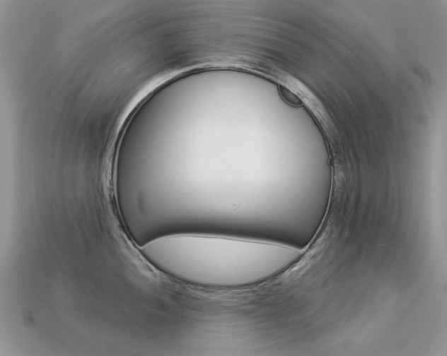 X0000113231052200909100939