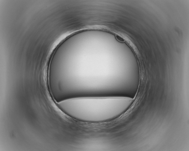 X0000113231054200909100939