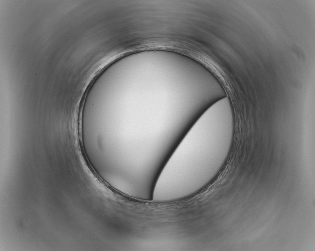 X0000113231055200909100939