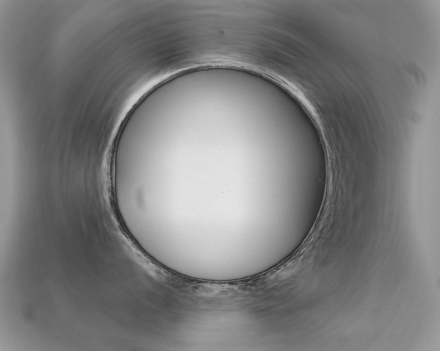 X0000113231056200909100939