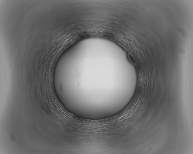 X0000113231057200909100939