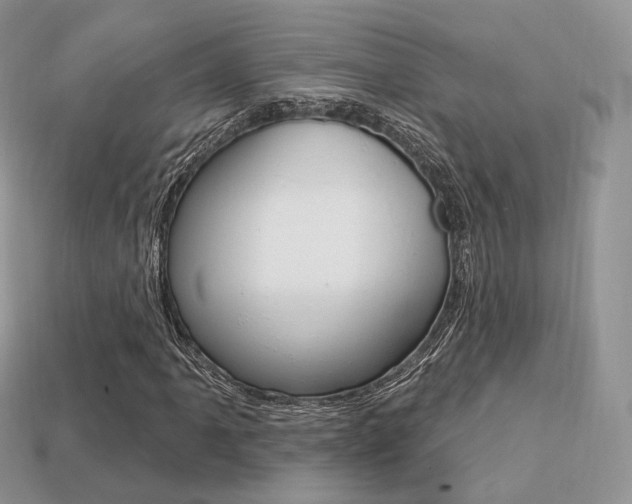 X0000113231061200909100939