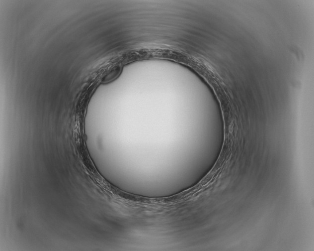 X0000113231062200909100939