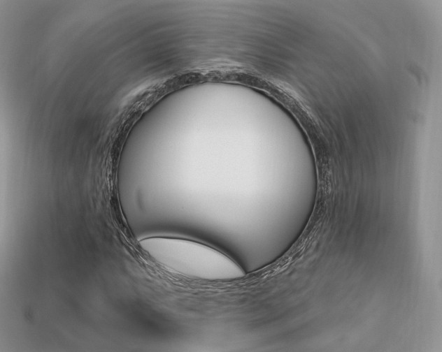 X0000113231063200909100939