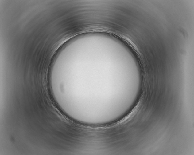 X0000113231065200909100939