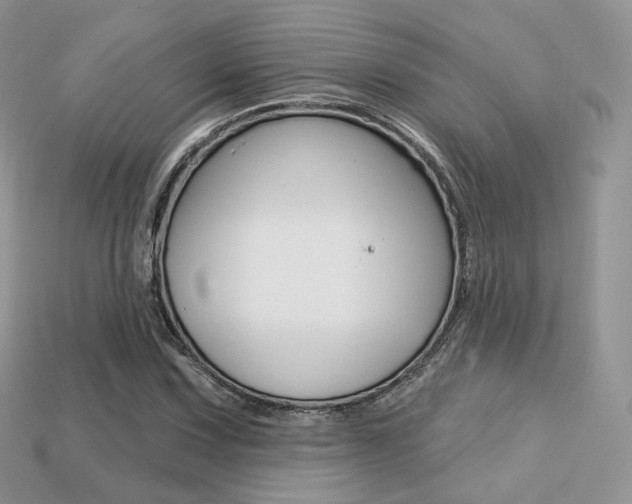 X0000113231067200909100939