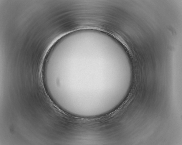 X0000113231068200909100939