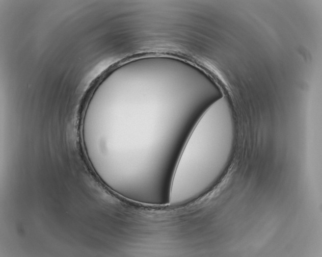 X0000113231071200909100939
