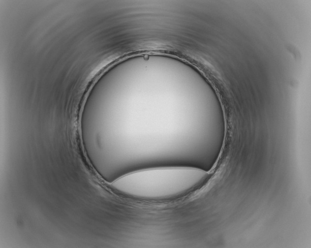X0000113231073200909100939