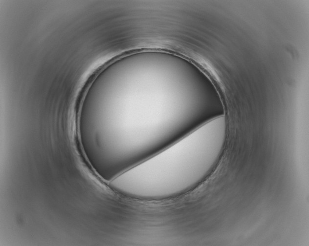 X0000113231080200909100938