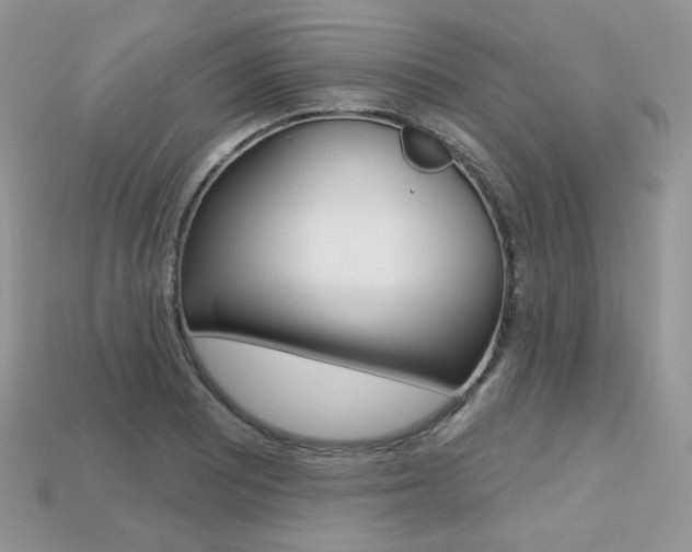 X0000113231081200909100938
