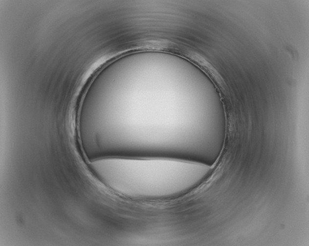 X0000113231083200909100938