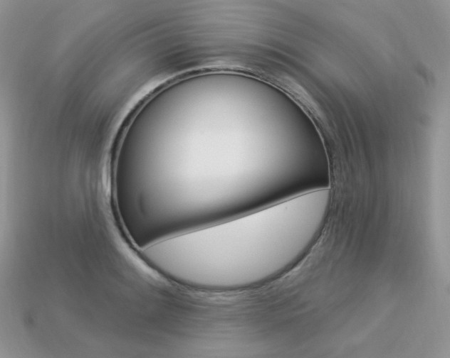 X0000113231084200909100938