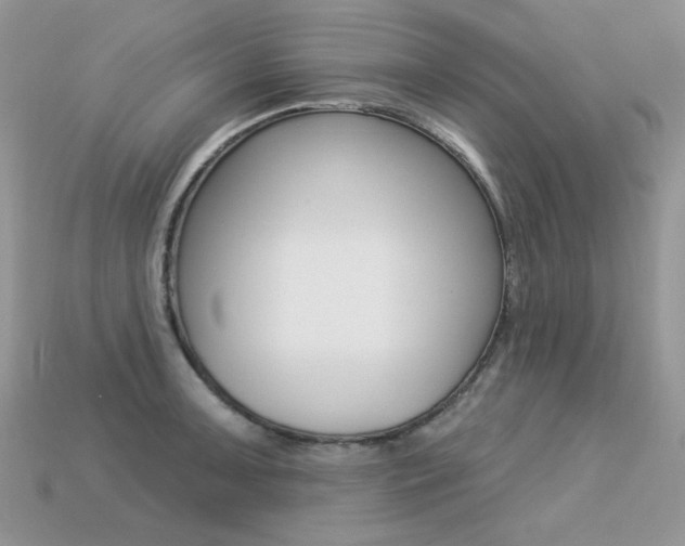 X0000113231091200909100938