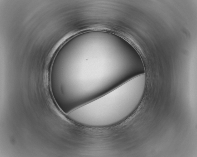 X0000113231092200909100938