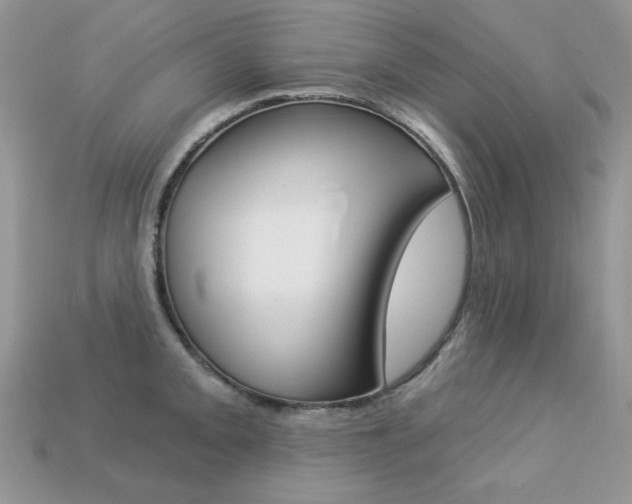 X0000113231093200909100938