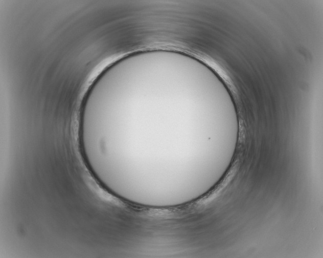 X0000113231094200909100938