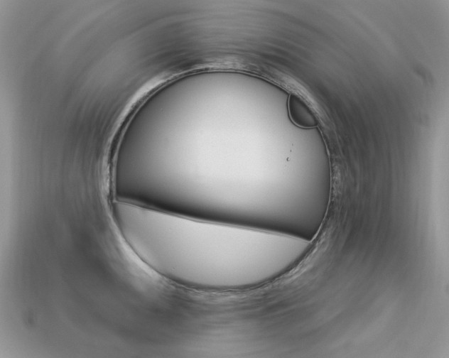 X0000113231095200909100938