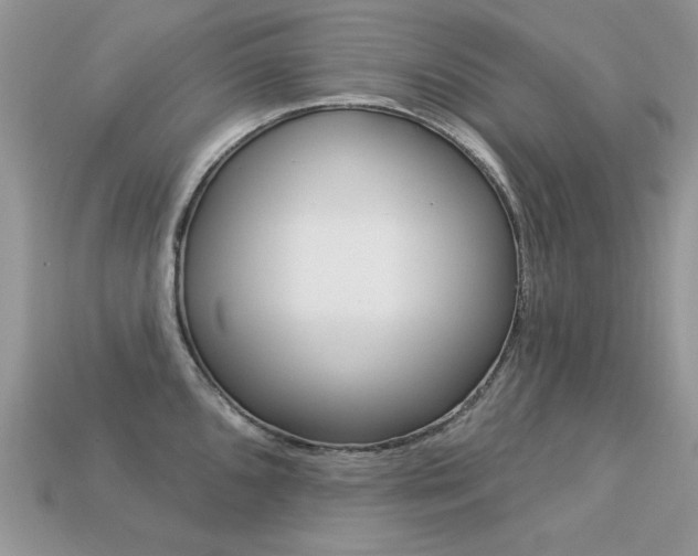 X0000113231096200909100938