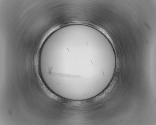 X0000113231098200909100938