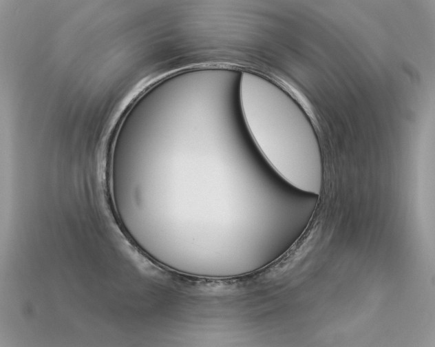 X0000113231099200909100938