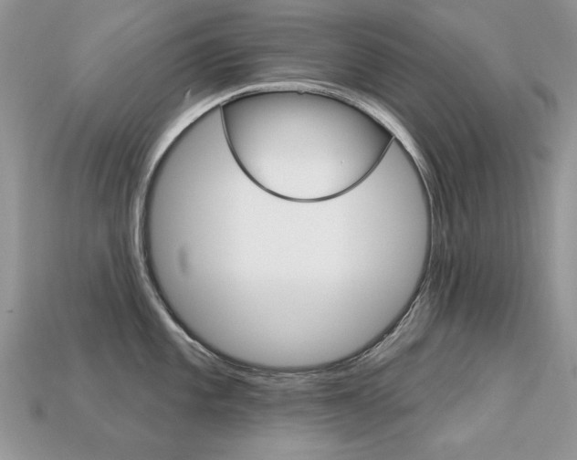X0000113231101200909100938